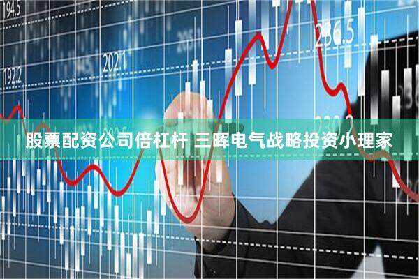 股票配资公司倍杠杆 三晖电气战略投资小理家