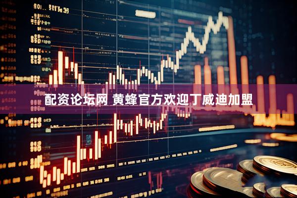配资论坛网 黄蜂官方欢迎丁威迪加盟