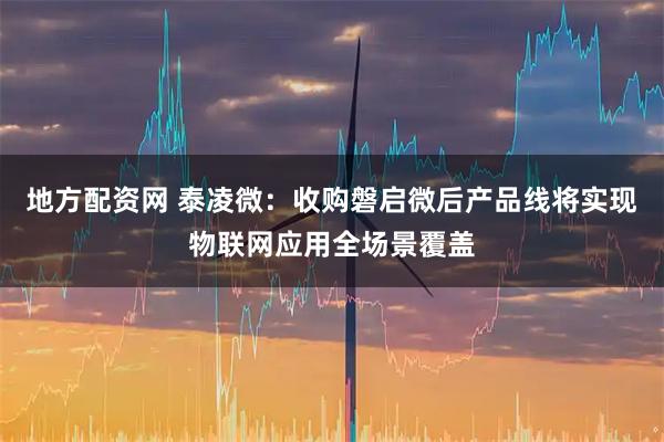 地方配资网 泰凌微：收购磐启微后产品线将实现物联网应用全场景覆盖