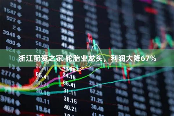 浙江配资之家 轮胎业龙头，利润大降67%